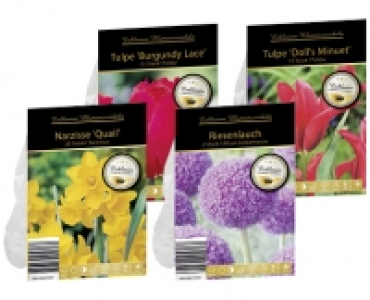 EXKLUSIVE BLUMENZWIEBELN CHF 2.99