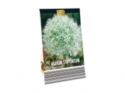 Blumenzwiebeln «Zierlauch» CHF 3.99