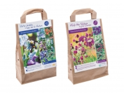 Blumenzwiebeln «Biene & Schmetterling» CHF 3.99