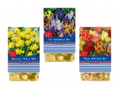 Blumenzwiebeln «Frühling» CHF 1.79