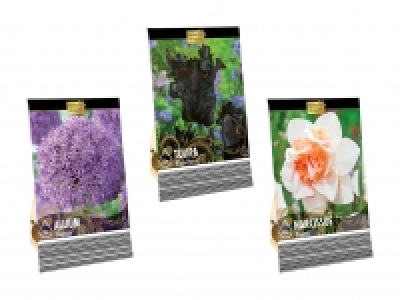 Blumenzwiebeln «Premium» CHF 2.99