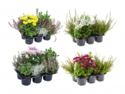 Outdoor-Mix CHF 5.99