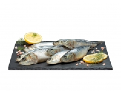 Sardinen CHF 4.99