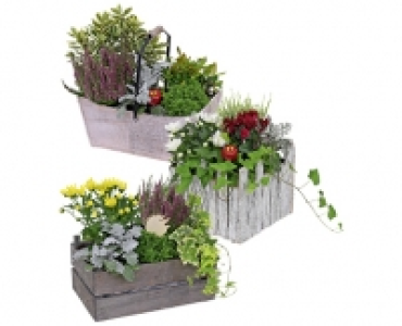 BEPFLANZTE HOLZKISTE/ WEIDENKORB CHF 14.99