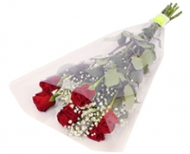 PREMIUM BLUMENSTRAUSS CHF 4.99