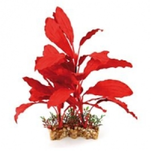 Qualipet  Amazonas Fantasy Plant VBS 30cm rot