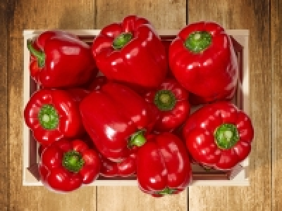 Peperoni rot CHF 1.99