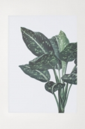 Poster CHF 10.95