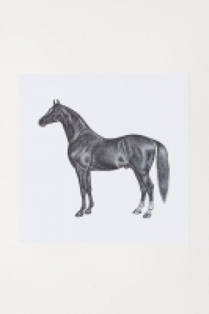 Poster CHF 4.95