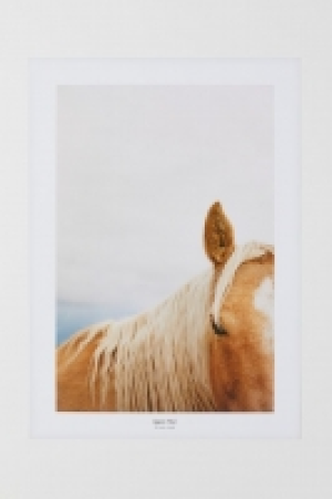 HM  Poster mit Fotomotiv