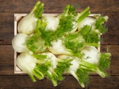 Fenchel CHF 1.99