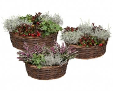 HERBSTLICHER PFLANZENRING