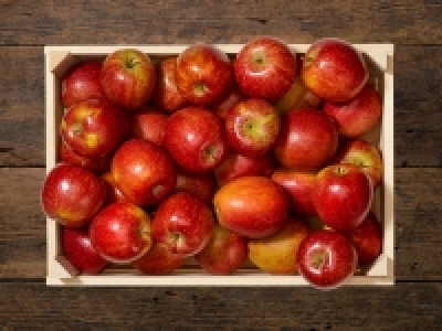 Rote Äpfel CHF 1.99