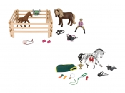 Set Reiterin CHF 14.99