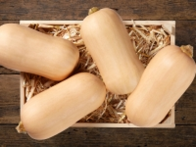 Butternuss Kürbis (mind. - 30 % auf den aktuellen Tagespreis) CHF 2.99