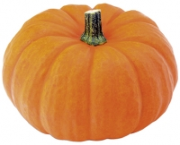 HALLOWEEN KÜRBIS CHF 4.99