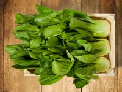 Pak Choi CHF 1.29