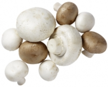 CHAMPIGNONS CHF 1.39