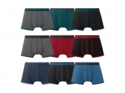 Boxer, 3er CHF 8.99