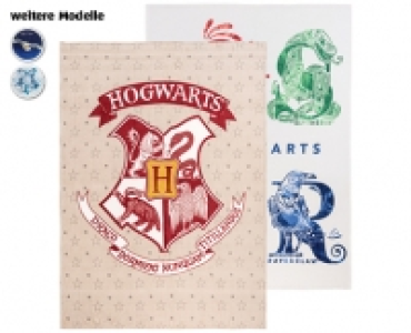 HARRY POTTER DECKE CHF 19.99