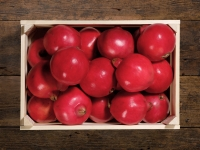 Granatapfel CHF 0.69