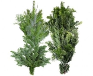 TANNENZWEIGE CHF 2.99