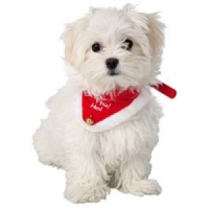 Trixie Xmas Halsband mit Tuch Necki