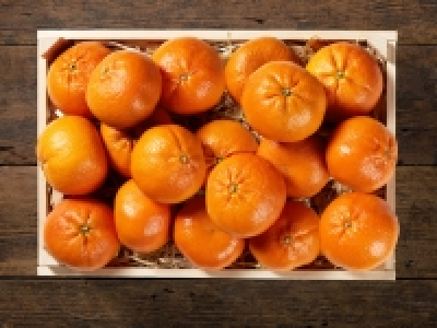 Clementinen (zum tagesaktuellen Lidl-Preis) CHF 2.29