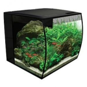 Qualipet  Fluval Flex Aquarium 34l schwarz