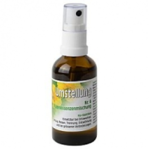 Sanpfist Blütenessenzenmischung Nr.6 Umstellung/Umzug CHF 28.00