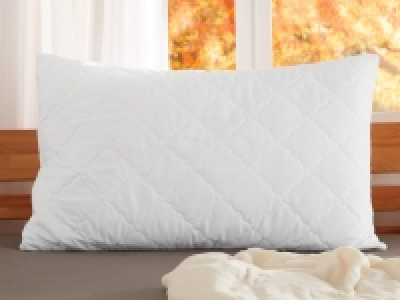Kopfkissen Polygiene® CHF 14.99