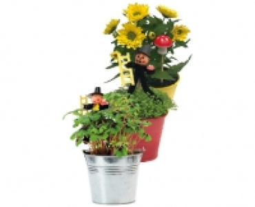GLÜCKSBRINGER IM ZINKTOPF CHF 1.99