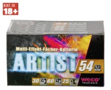 Aldi Suisse  WECO® SUISSE ARTIST BATTERIE