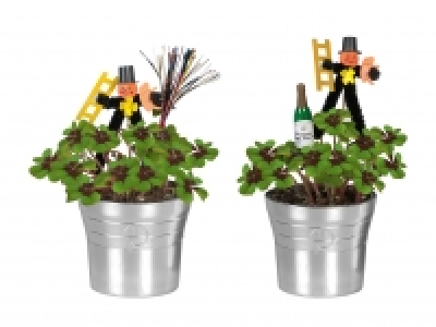 Glücksklee im Sektkübel CHF 2.99