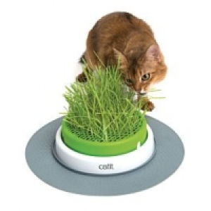 Catit Senses 2.0 Grass Planter CHF 19.80