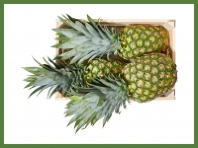 Ananas Extra Sweet (mind. - 30 % auf den aktuellen Tagespreis) CHF 1.99