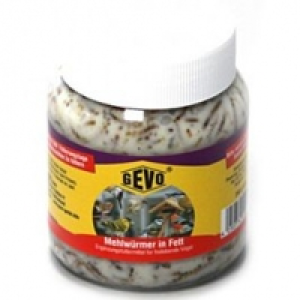 GEVO Mehlwürmer in Fett im Glas 240g