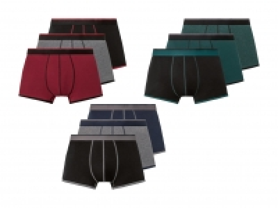 Boxer, 3er CHF 7.99