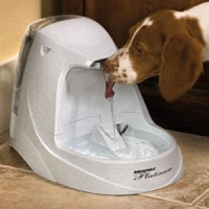 PetSafe Drinkwell Platinum Trinkbrunnen & Zubehör CHF 99.90