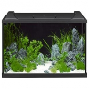 Qualipet  EHEIM Aquarium Komplettset Aquapro LED 84 schwarz