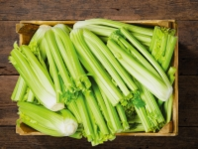 Stangensellerie CHF&nbsp;1.69