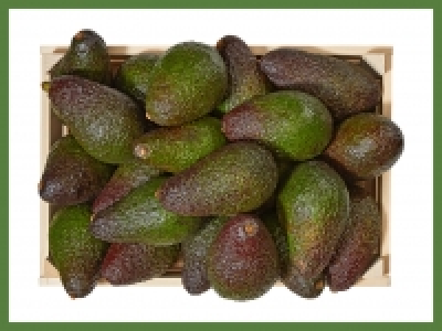 Lidl  Avocado (mind. - 30 % auf den aktuellen Tagespreis)