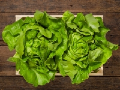 Lidl  Kopfsalat (mind. - 25 % auf den aktuellen Tagespreis)