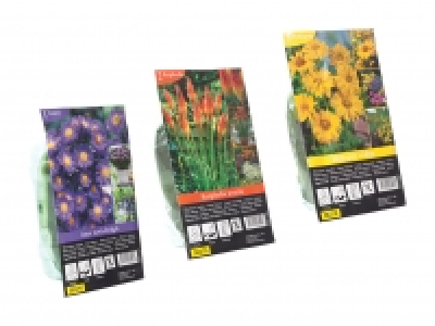 Winterharte Staudenknollen CHF 1.49