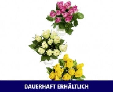 Aldi Suisse  FAIRTRADE MAX HAVELAAR ROSEN