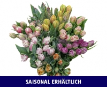 Aldi Suisse  TULPEN BOUQUET