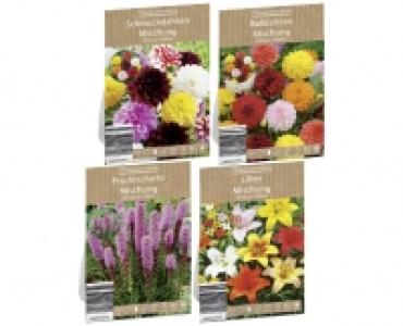 BLUMENZWIEBELN CHF 1.79