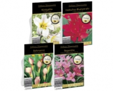 EXKLUSIVE BLUMENZWIEBELN CHF 2.99