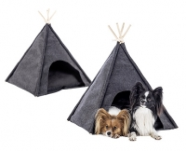 ROMEO SHAH HAUSTIER TIPI