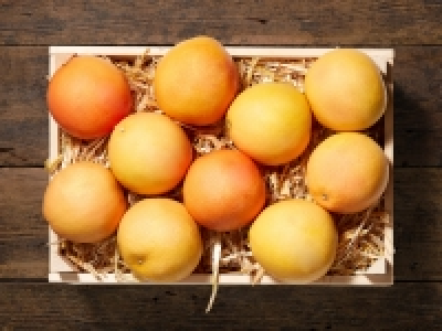 Grapefruit CHF 0.59